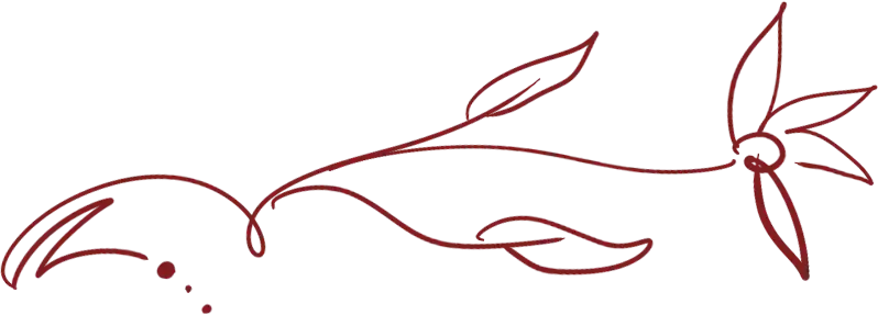 A horizontal line separator graphic in dark color